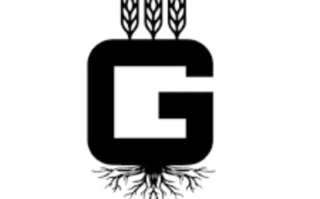 Galar Fertilizers and Chemicals: Revolutionizing Agriculture with Nano Technology