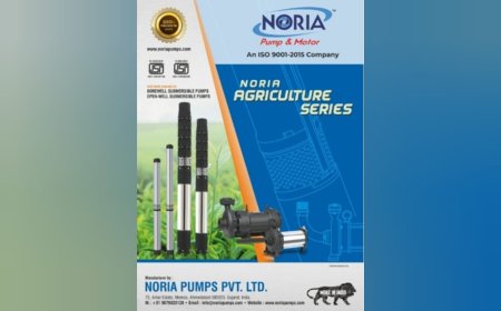 Noria Pumps Leading a Global Revolution in Submersible Pump Manufacturing