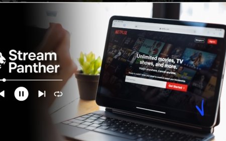 What Secrets Are Streaming Stars Spilling on The Stream Panther ?