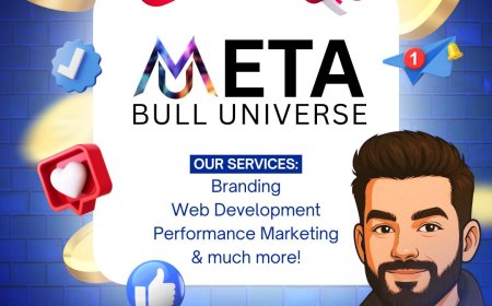 Neeraj Soni – The 22-Year-Old Visionary Behind MetaBull Universe