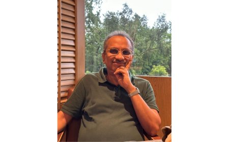 The Global Family Office Model Soumik Bandyopadhyay Lessons for Emerging Economies