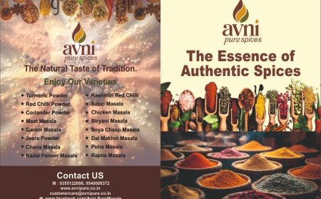 Avni Pure Industries Pvt. Ltd. Emerges as a Promising Name in India’s Spice Industry