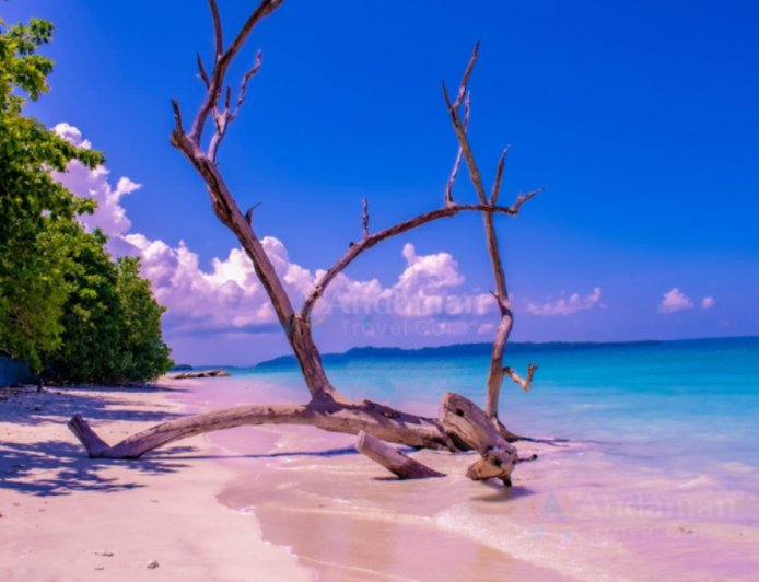 AndamanTravelCare Expands Customized Andaman Tour Packages Amid Rising Demand Across India
