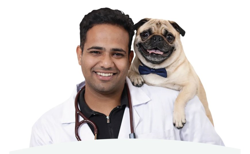 The Hidden Price of Cheap Kibble: Veterinarian Dr. Anshul Rawal on What Bargain Pet Food Is Doing to India's Dogs and Cats